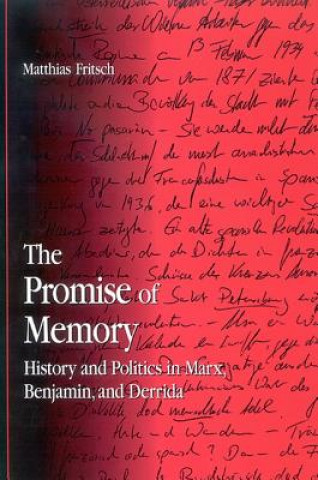 Carte Promise of Memory Matthias Fritsch