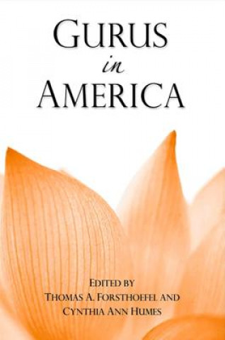 Kniha Gurus in America Thomas A. Forsthoefel