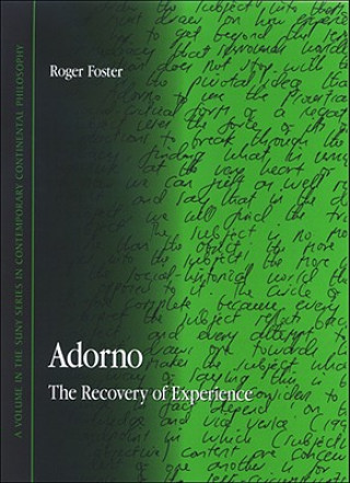 Book Adorno Roger Foster