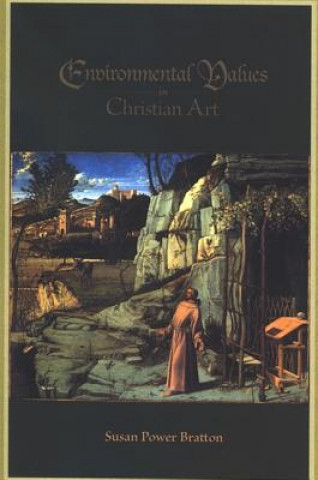Kniha Environmental Values in Christian Art Susan Power Bratton