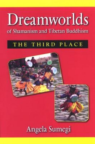 Книга Dreamworlds of Shamanism and Tibetan Buddhism Angela Sumegi