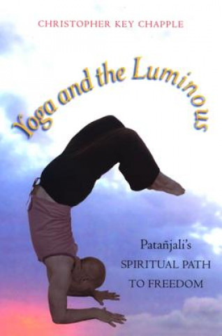 Kniha Yoga and the Luminous Christopher Key Chapple