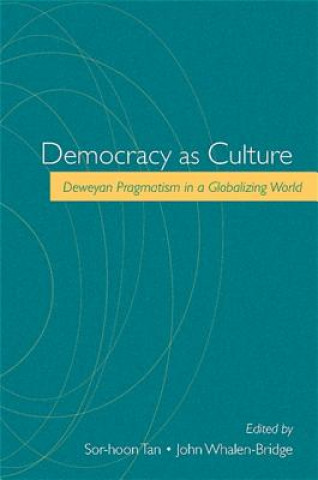 Kniha Democracy as Culture Sor-Hoon Tan