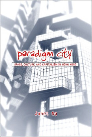 Knjiga Paradigm City Janet Ng