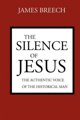 Kniha Silence of Jesus James Breech