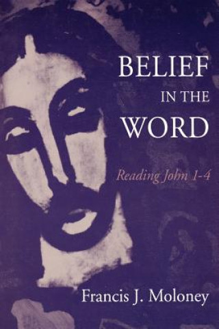 Kniha Belief in the World Francis J. Moloney