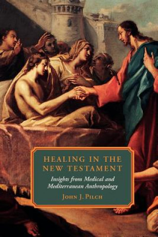 Carte Healing in the New Testament John J. Pilch