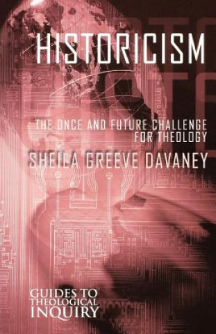 Livre Historicism Sheila Greeve Davaney