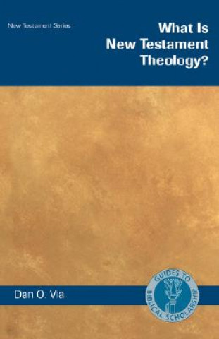 Kniha What Is New Testament Theology? Dan O. Via