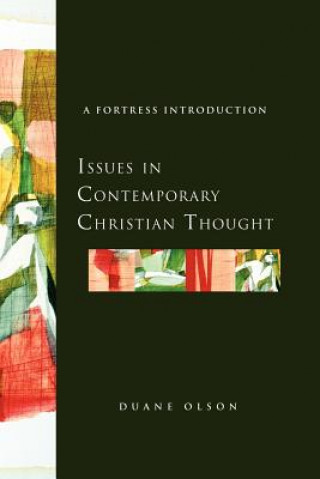 Kniha Issues in Contemporary Christian Thought Duane Olson