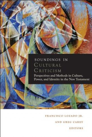 Könyv Soundings in Cultural Criticism 