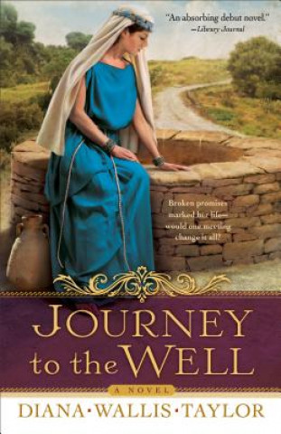 Carte Journey to the Well - A Novel Diana Wallis Taylor