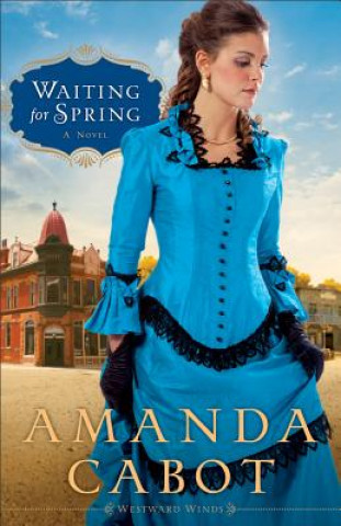 Carte Waiting for Spring - A Novel Amanda Cabot