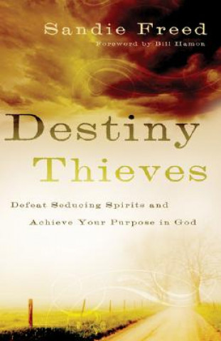 Carte Destiny Thieves - Defeat Seducing Spirits and Achieve Your Purpose in God Sandie Freed