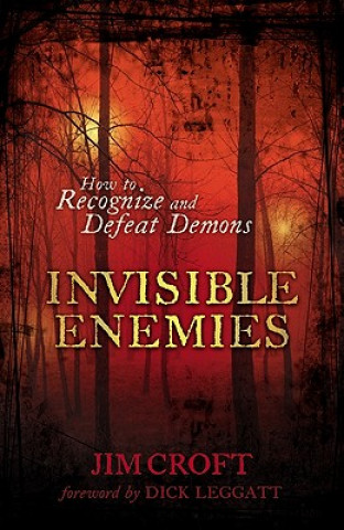Kniha Invisible Enemies Jim Croft