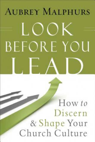 Kniha Look Before You Lead - How to Discern and Shape Your Church Culture Aubrey Malphurs