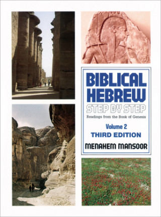 Knjiga Biblical Hebrew M. Mansoor