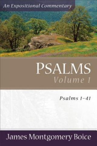 Kniha Psalms - Psalms 1-41 James Montgomery Boice