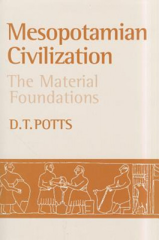 Könyv Mesopotamian Civilization D. T. Potts