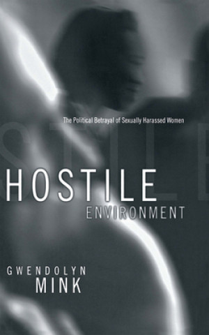 Kniha Hostile Environment Gwendolyn Mink