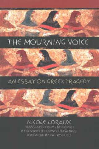 Kniha Mourning Voice Nicole Loraux
