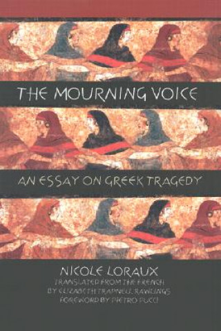 Książka Mourning Voice Nicole Loraux