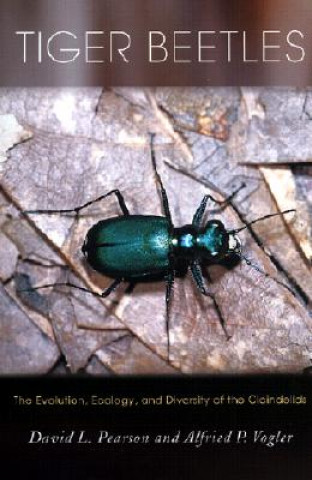 Book Tiger Beetles David L. Pearson