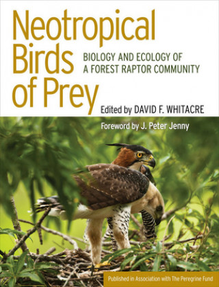 Book Neotropical Birds of Prey J. Peter Jenny