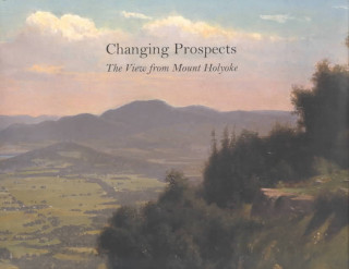 Book Changing Prospects Marianne Doezema