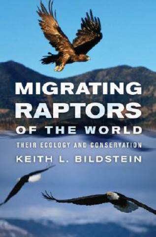 Book Migrating Raptors of the World Keith L. Bildstein