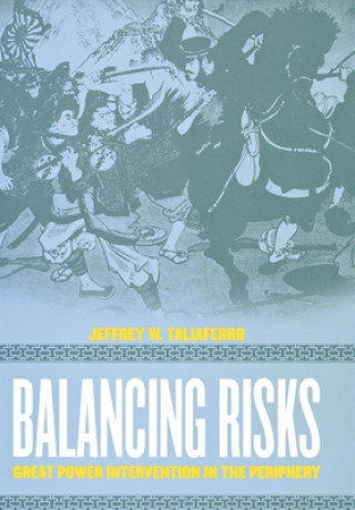 Knjiga Balancing Risks Jeffrey W. Taliaferro