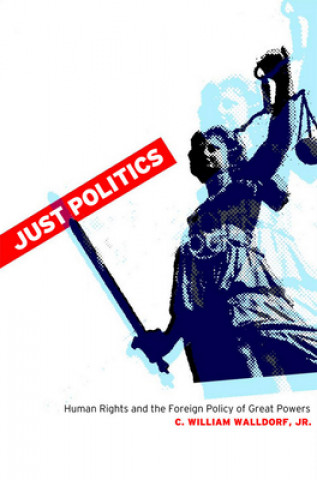 Βιβλίο Just Politics Jennifer L. Pierce