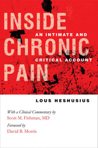 Kniha Inside Chronic Pain Lous Heshusius