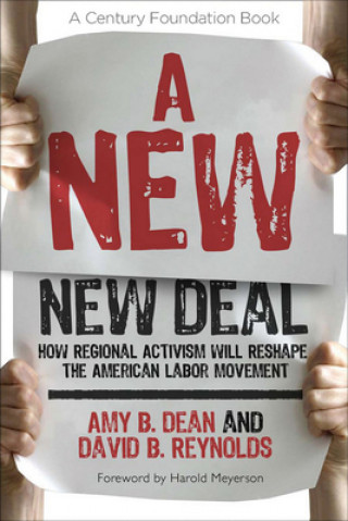 Knjiga New New Deal David B. Reynolds