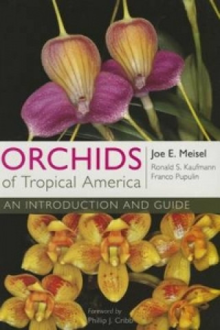 Kniha Orchids of Tropical America Franco Pupulin