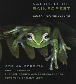 Carte Nature of the Rainforest Adrian Forsyth