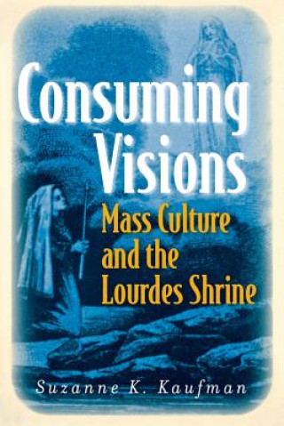 Kniha Consuming Visions Suzanne K. Kaufman