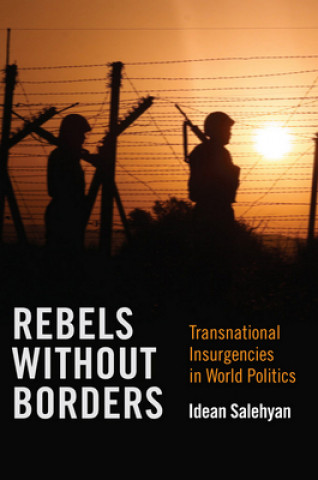 Buch Rebels without Borders Idean Salehyan