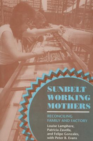 Kniha Sunbelt Working Mothers Louise Lamphere