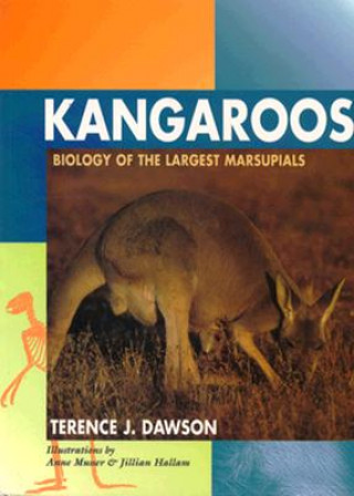 Carte Kangaroos Terence J. Dawson