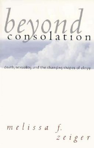 Kniha Beyond Consolation Melissa F. Zeiger