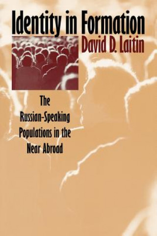 Könyv Identity in Formation David D. Laitin