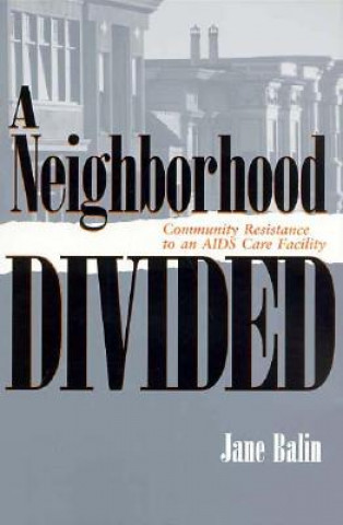 Buch Neighborhood Divided Jane Balin