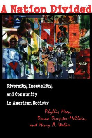 Book Nation Divided Phyllis Moen