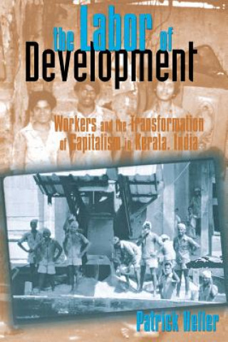 Kniha Labor of Development Patrick Heller