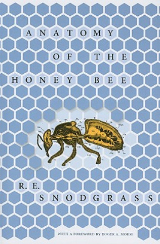 Carte Anatomy of the Honey Bee R.E. Snodgrass