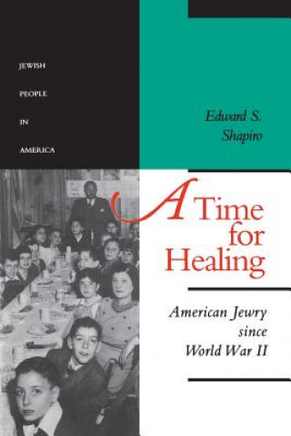 Knjiga Time for Healing Edward S. Shapiro