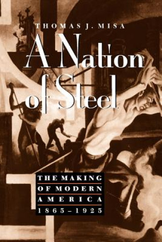 Knjiga Nation of Steel Thomas J. Misa