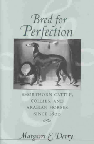Książka Bred for Perfection Margaret E. Derry