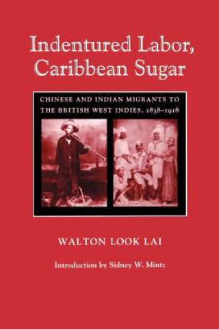 Buch Indentured Labor, Caribbean Sugar Walton Look Lai